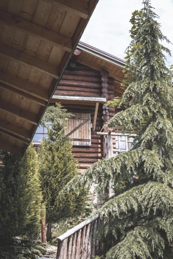 Naousa  Sfendamos Wood Village מראה חיצוני תמונה