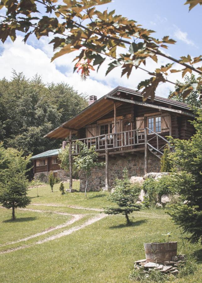 Naousa  Sfendamos Wood Village מראה חיצוני תמונה