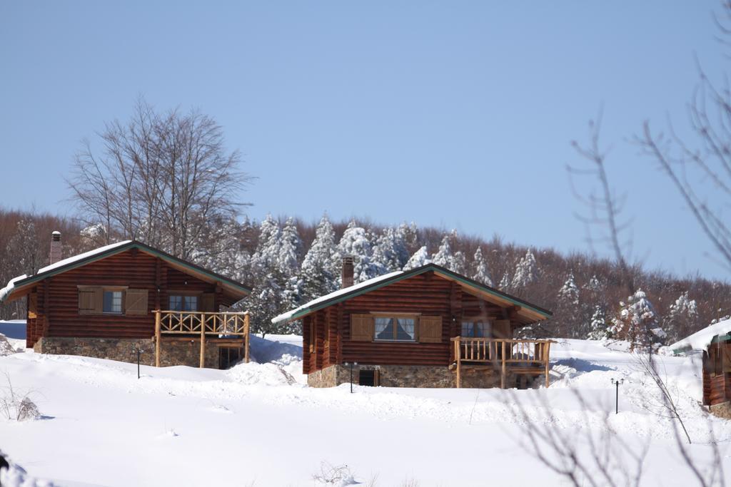 Naousa  Sfendamos Wood Village מראה חיצוני תמונה