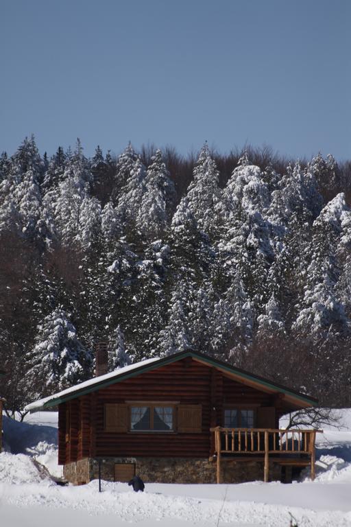 Naousa  Sfendamos Wood Village מראה חיצוני תמונה