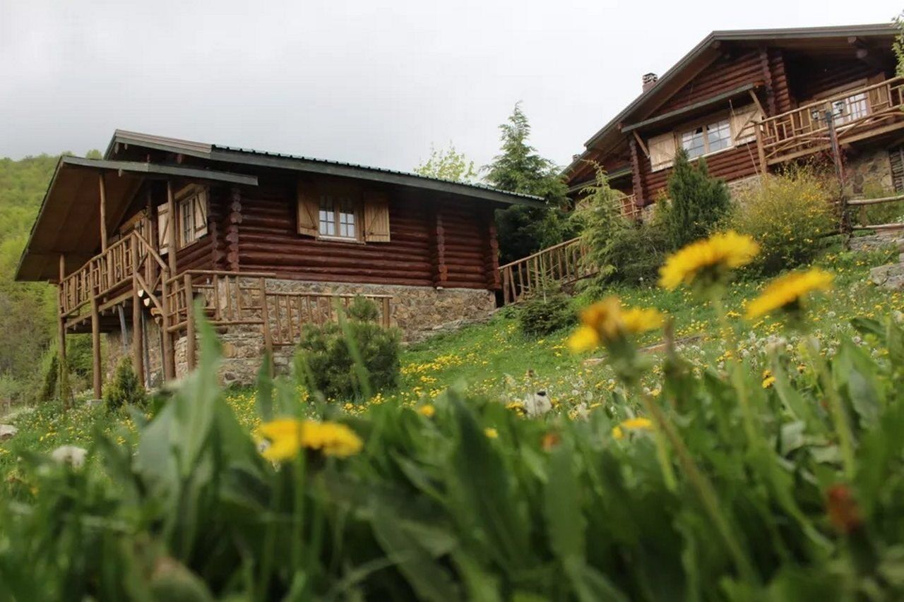 Naousa  Sfendamos Wood Village מראה חיצוני תמונה